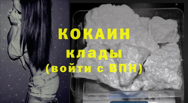гидра Верея
