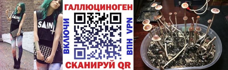 Псилоцибиновые грибы Psilocybine cubensis  купить  цена  мориарти формула  Пушкино 